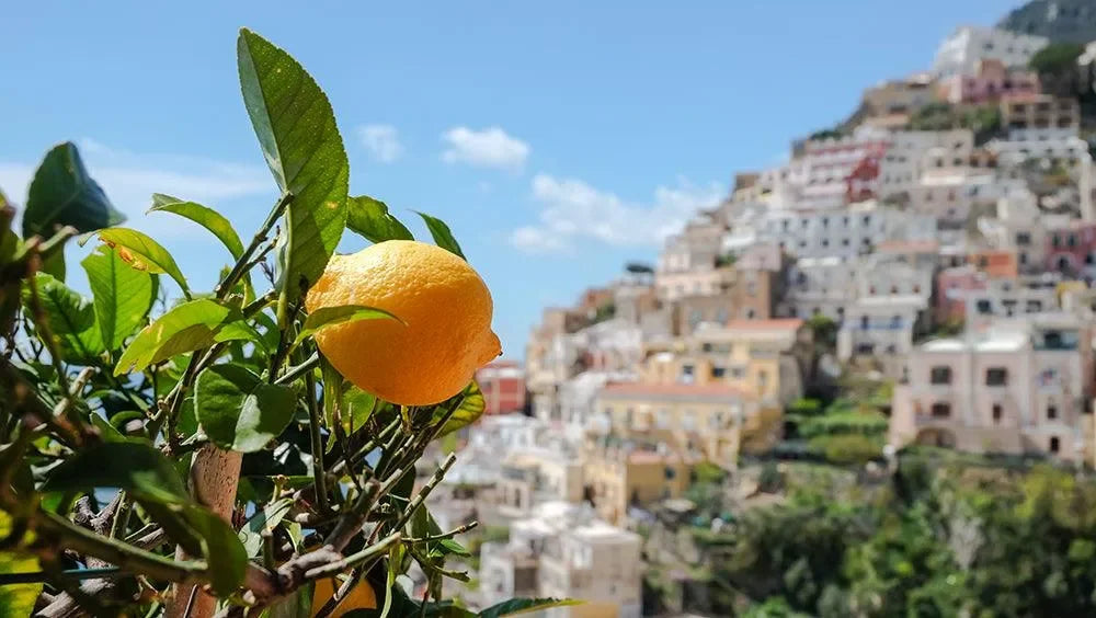 Aurifil Color Builders - Sicily Yellow - Mercury Craft Co.