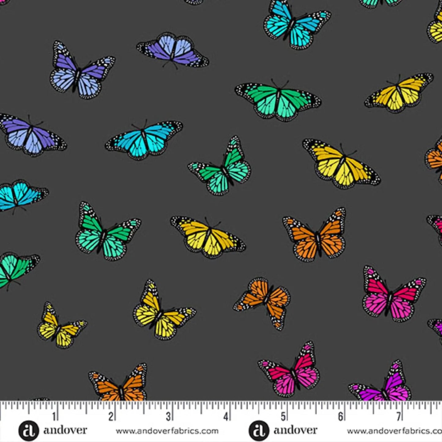 Color Wheel Butterfly Rainbow in Night - Mercury Craft Co.