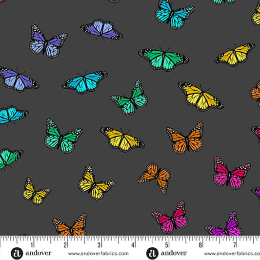 Color Wheel Butterfly Rainbow in Night - Mercury Craft Co.