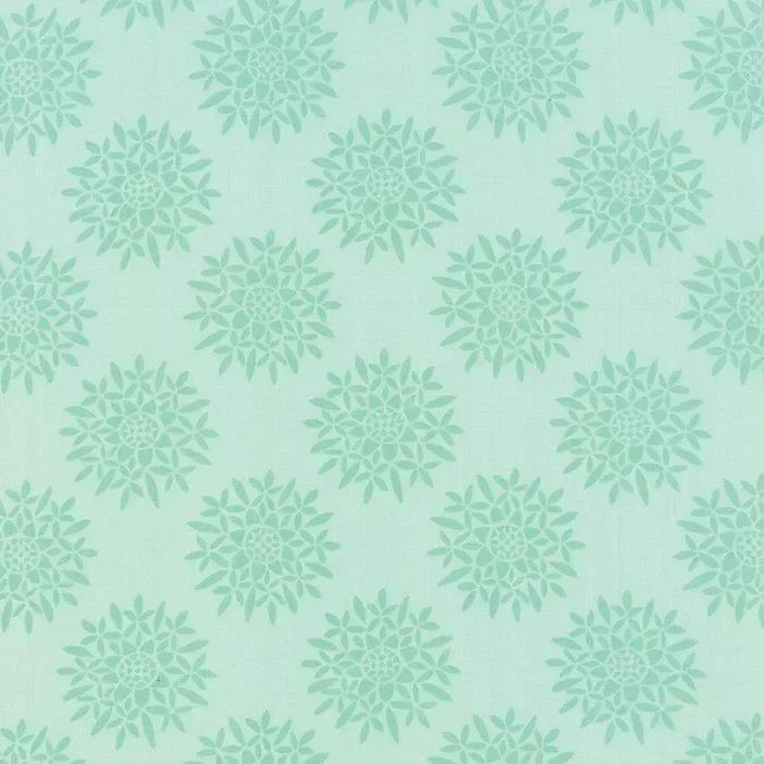 Canyon Aloe Sedum 27223 11 - Mercury Craft Co.