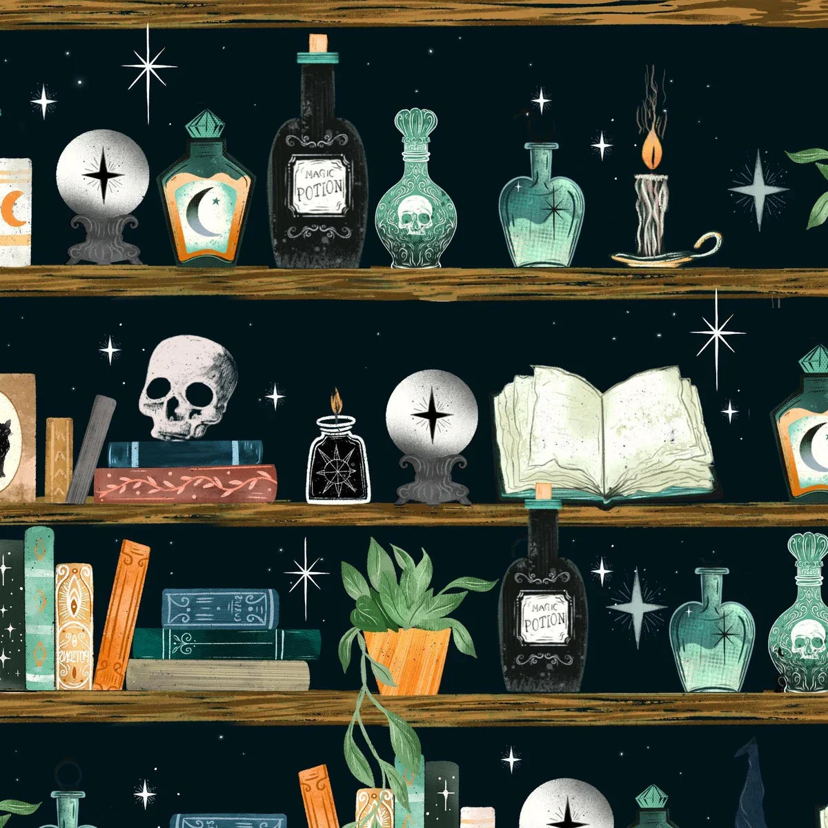 Illustration of a shelf with various mystical items, including potion bottles, books, and a skull, against a starry night sky.