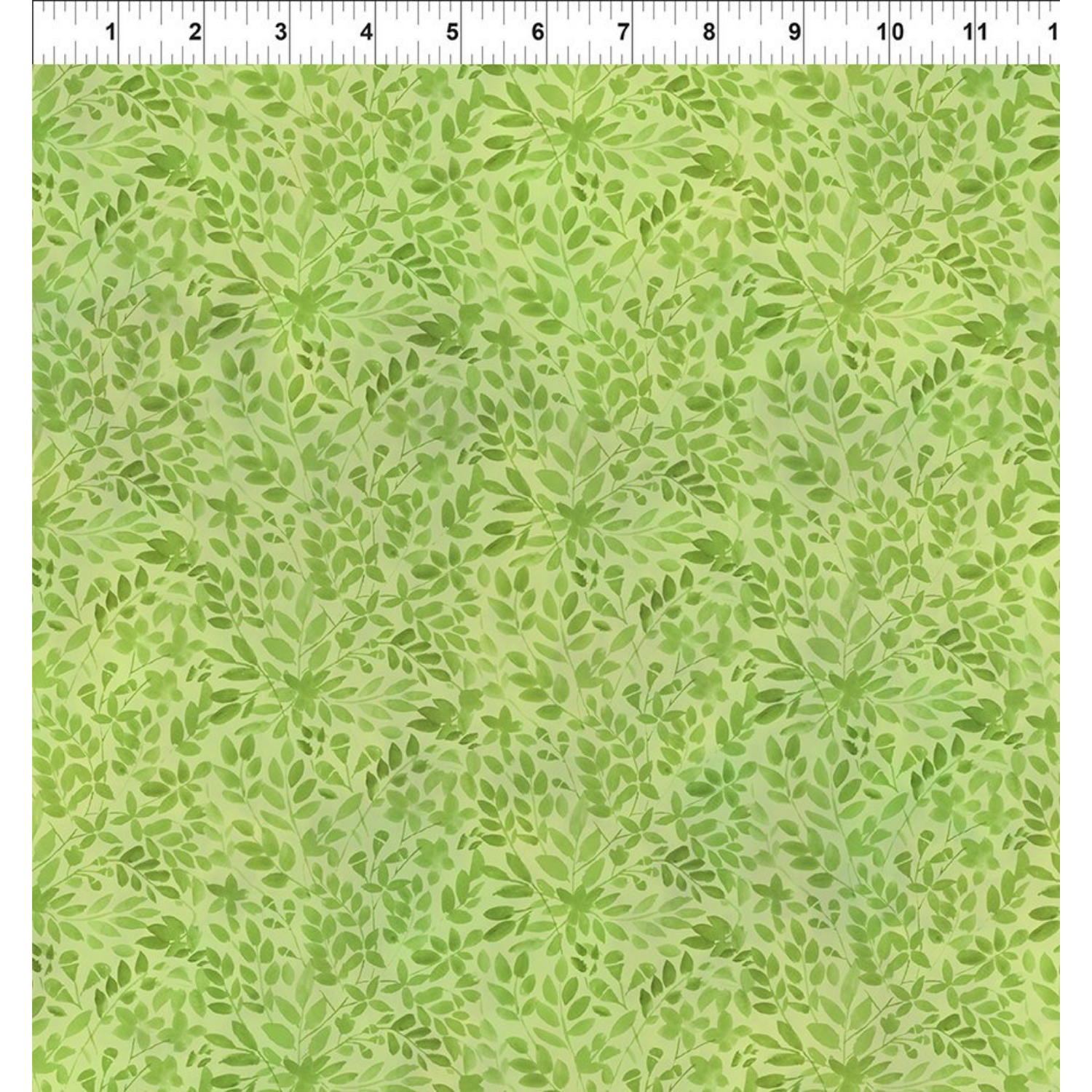 Green leaf pattern on a green background with a ruler for scale