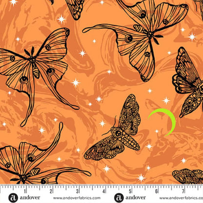Black line-art moths on an orange background with a green crescent moon. Ruler for scale.