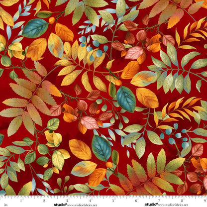 Colorful Autumn leaves on a warm red background with a ruler at the bottom for scale.