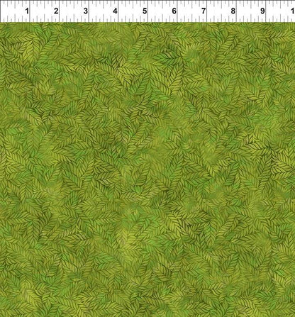 Ferns In Green Ruler