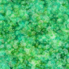 Springtime Romance French Lime