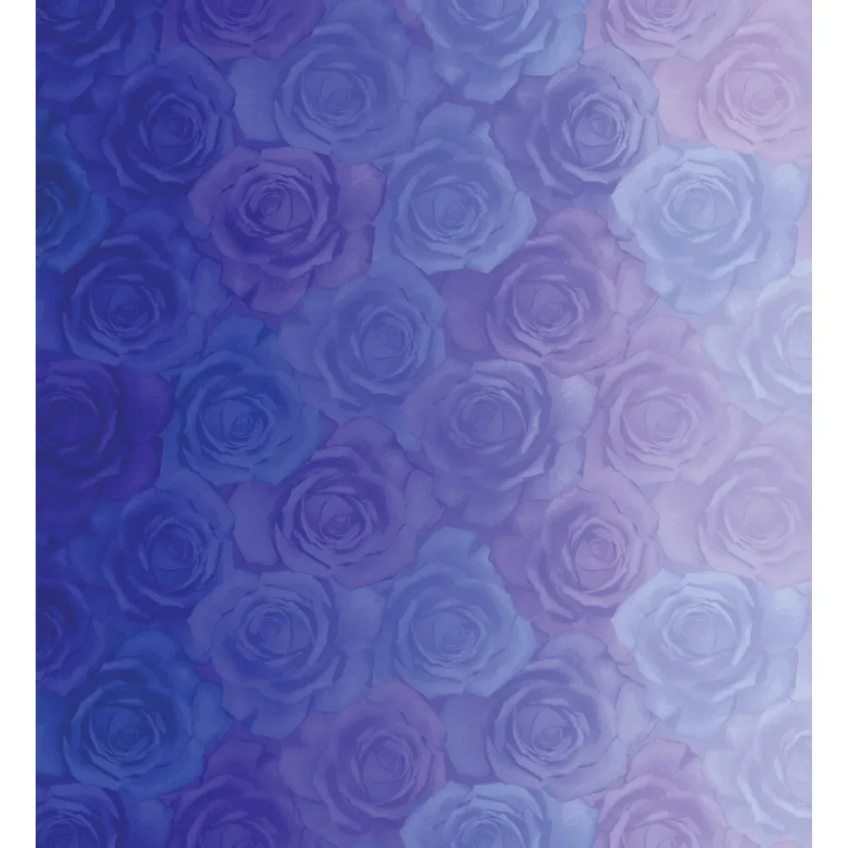 Gradients Blues 33364 12D - Mercury Craft Co.