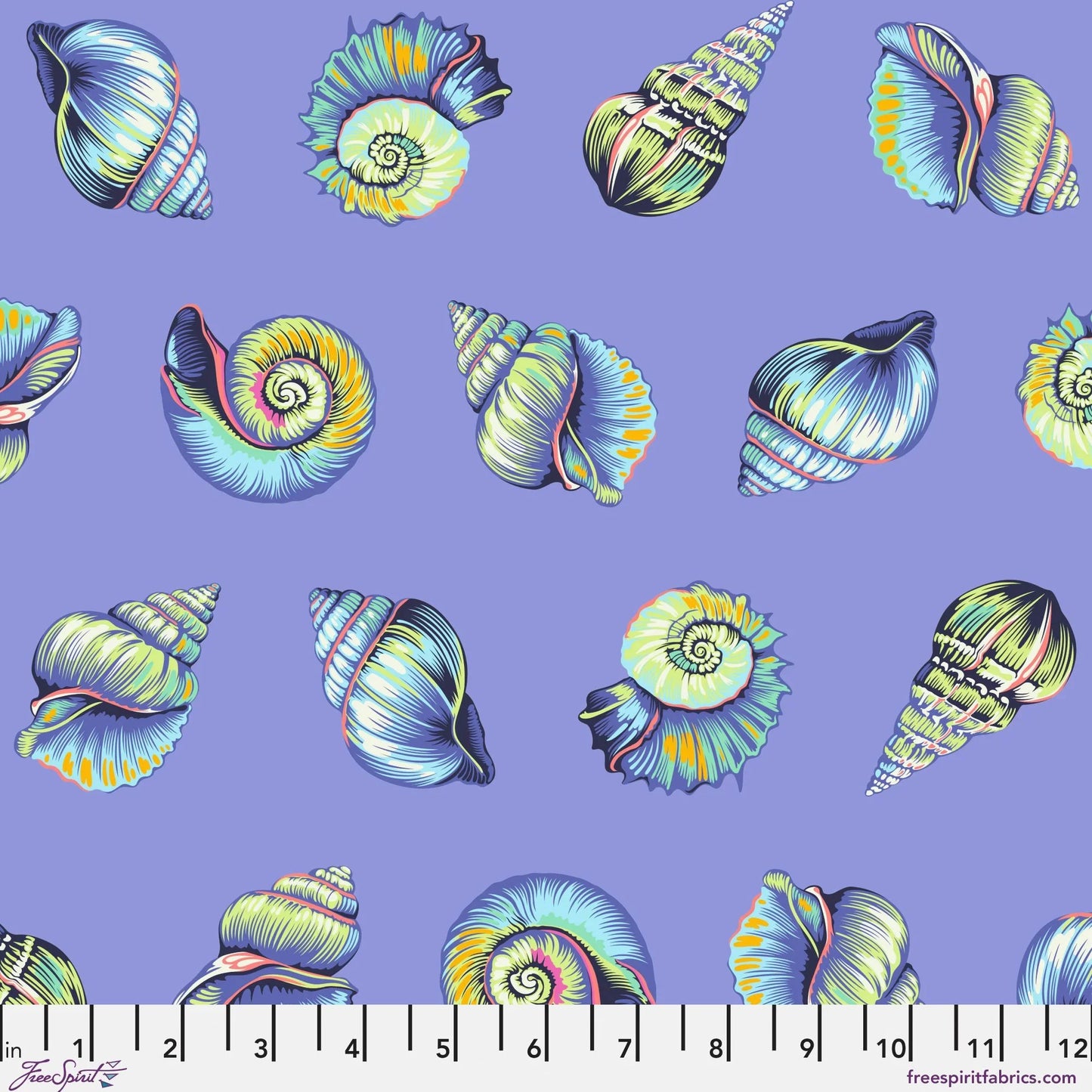 Colorful detailed shell pattern on a purple background with a ruler for scale