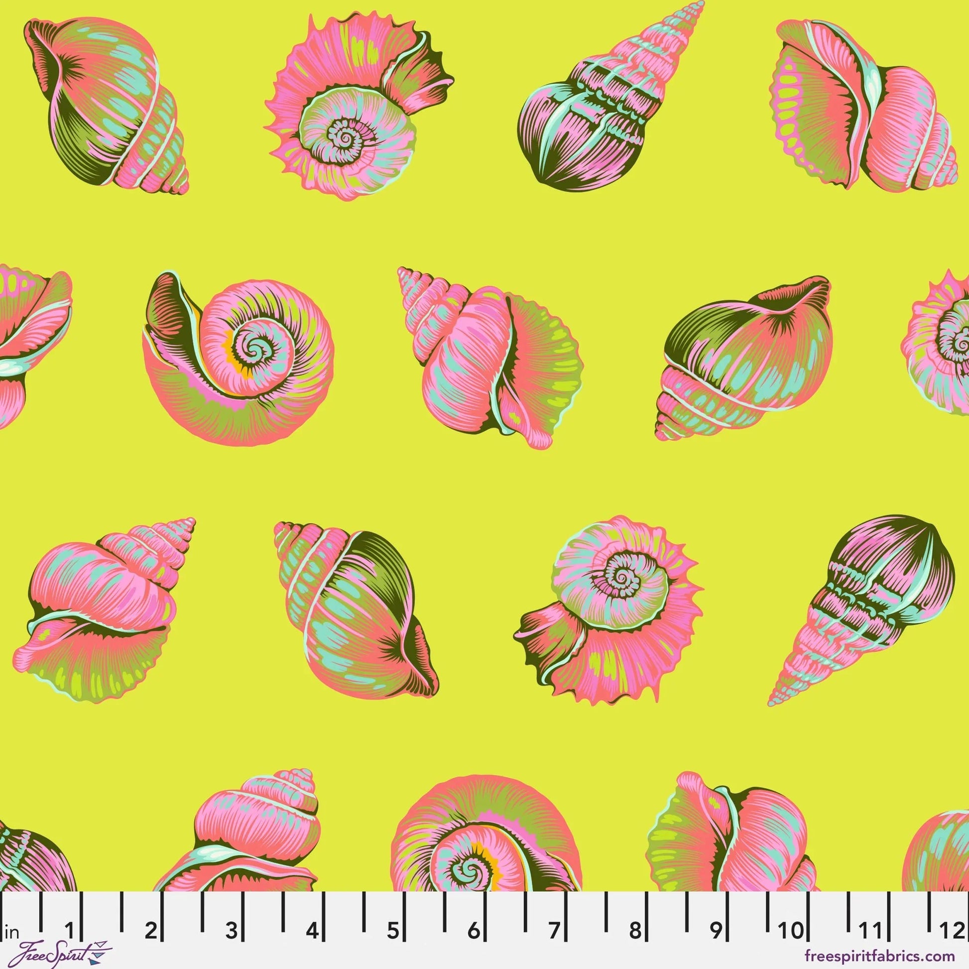 Colorful detailed pink shell pattern on a lime-green background with a ruler for scale.