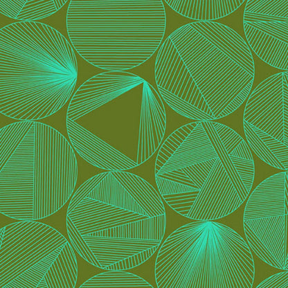 40 Petri in Turtle Power - Mercury Craft Co.