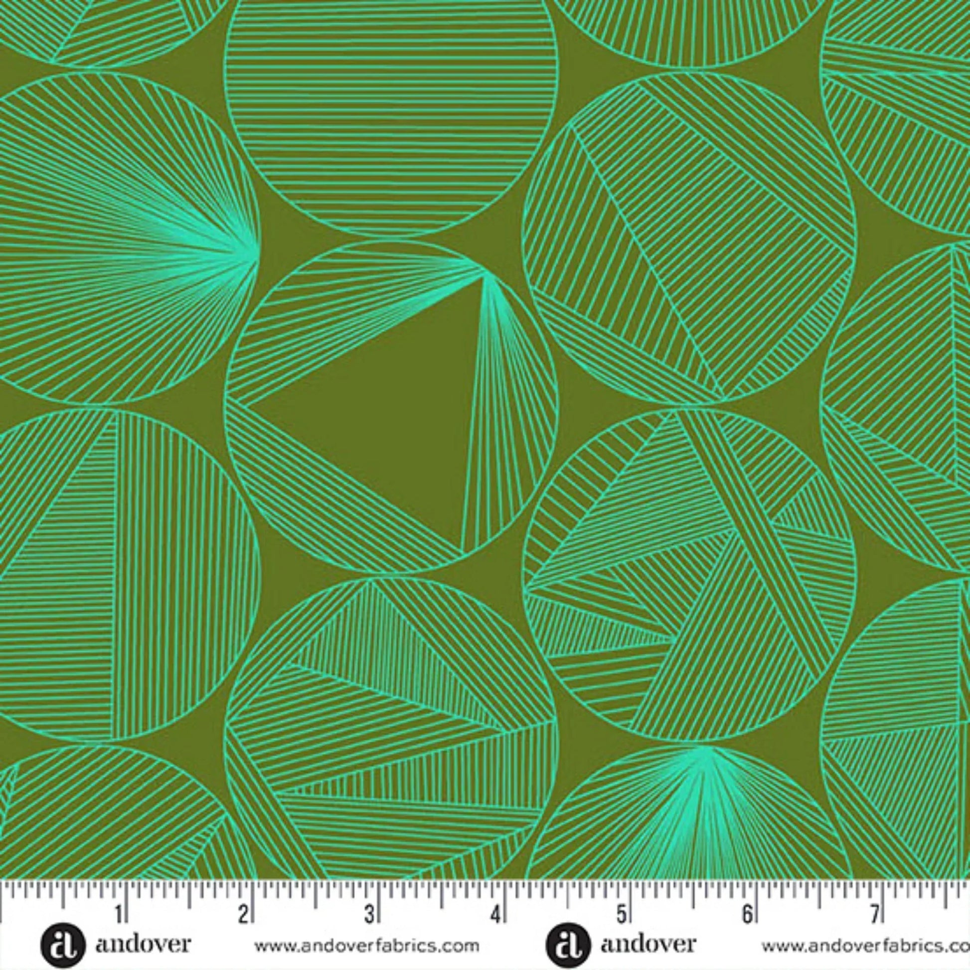 40 Petri in Turtle Power - Mercury Craft Co.