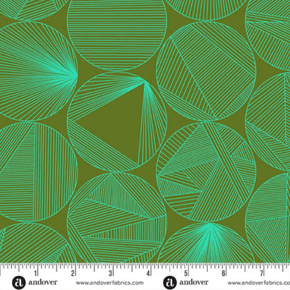 40 Petri in Turtle Power - Mercury Craft Co.