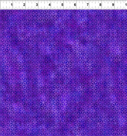 Screen In Purple Ruler