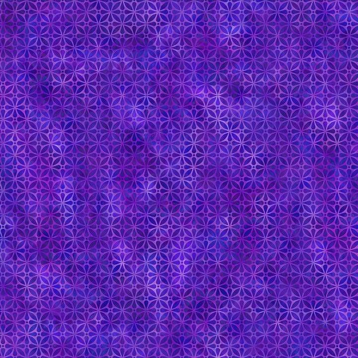 Screen In Purple