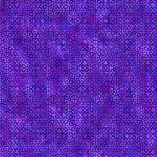 Screen In Purple