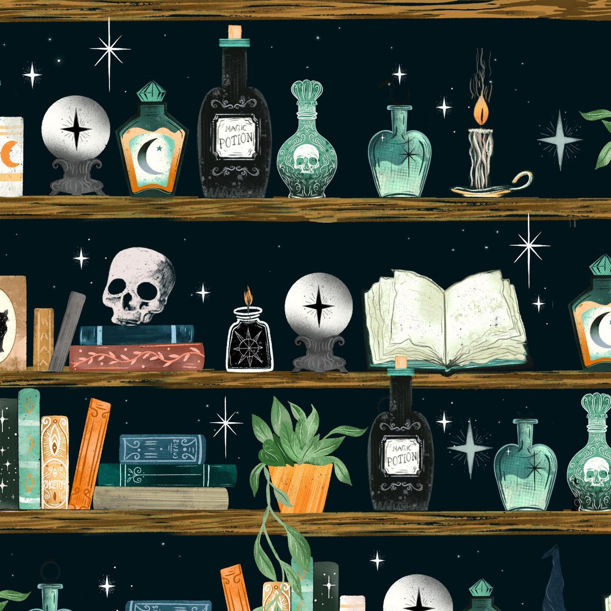 Illustration of a shelf with various mystical items, including potion bottles, books, and a skull, against a starry night sky.
